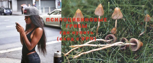 герыч Вяземский